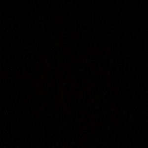 Meet your Posher, Millie